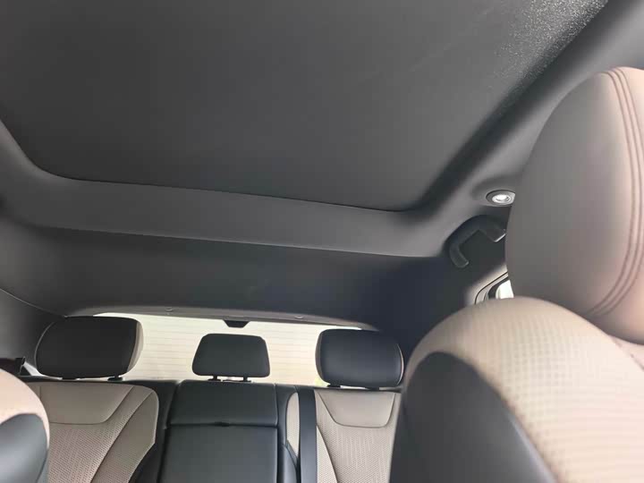 2025 BYD Dolphin