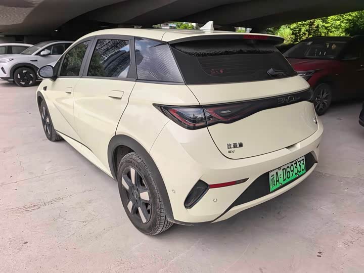 BYD Dolphin 2025 2025款 智驾版 410km 时尚版