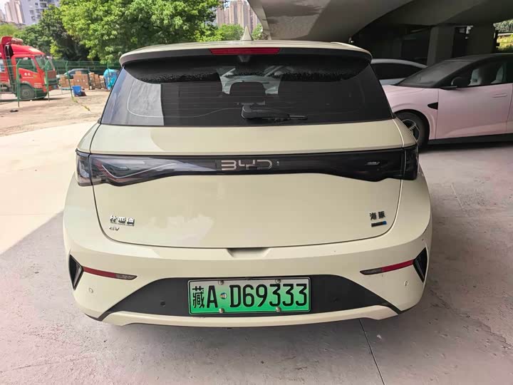 BYD Dolphin 2025 2025款 智驾版 410km 时尚版