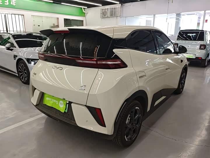 Zdjęcie 7 - BYD Seagull