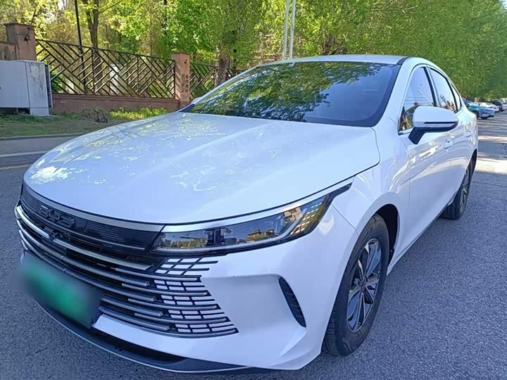 BYD Destroyer 05 2024 2024款 荣耀版 DM-i 55KM 豪华型