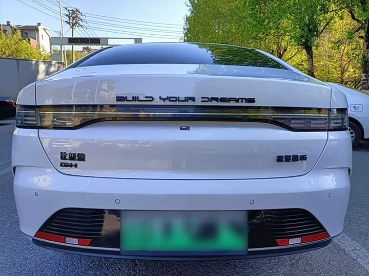 BYD Destroyer 05 2024 2024款 荣耀版 DM-i 55KM 豪华型