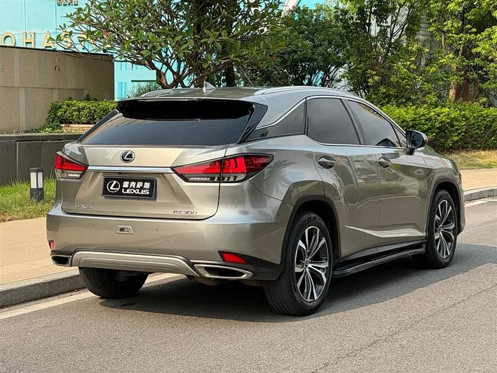 Фото 5 - Lexus RX