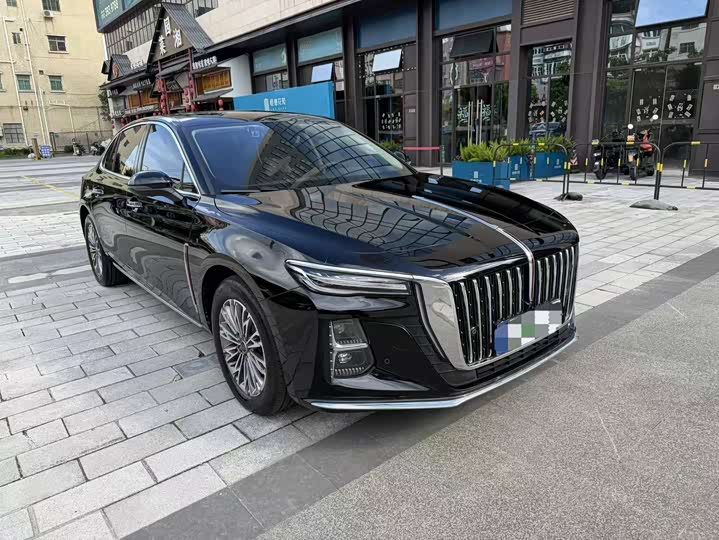 صورة 3 - Hongqi H5