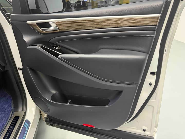 GAC Trumpchi M8 2021 2021款 大师系列 390T 至尊版