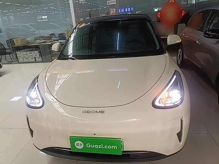 Geely Galaxy Geome 2026 2026款 310km 梦想版