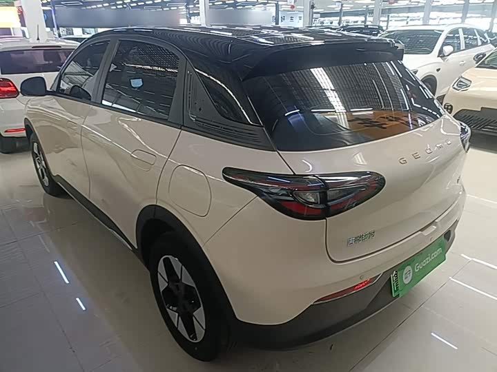 Geely Galaxy Geome 2026 2026款 310km 梦想版