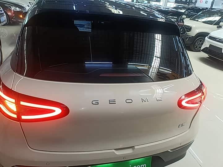 Geely Galaxy Geome 2026 2026款 310km 梦想版