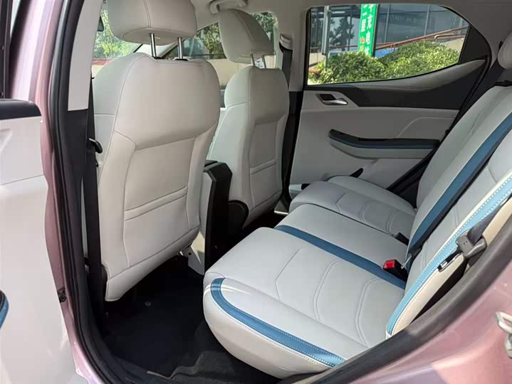 BYD Yuan Pro 2023 2023款 401KM豪华型