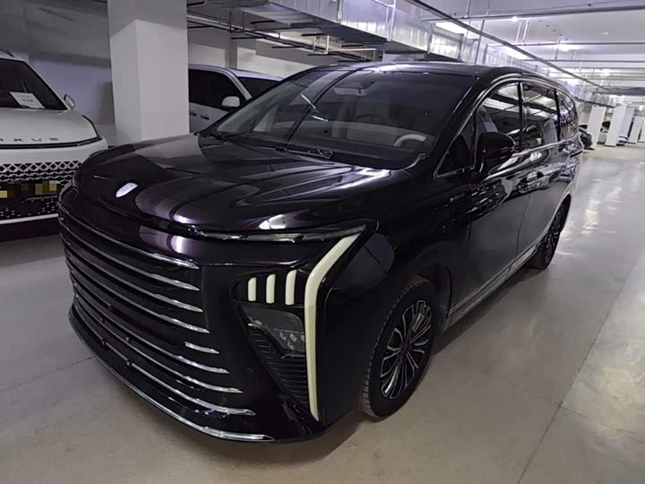 Dongfeng Forthing Xinghai V9 2024 2024款 1.5TD 200km 青云梯系列 尊贵型