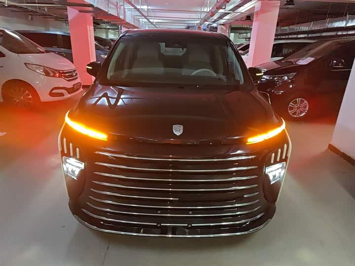 Dongfeng Forthing Xinghai V9 2024 2024款 1.5TD 200km 青云梯系列 尊贵型