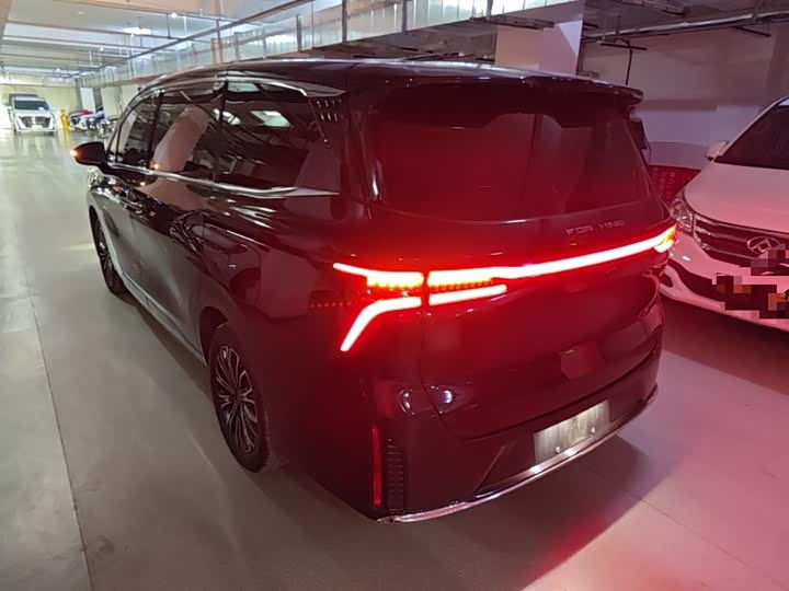 Dongfeng Forthing Xinghai V9 2024 2024款 1.5TD 200km 青云梯系列 尊贵型