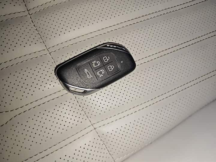 Dongfeng Forthing Xinghai V9 2024 2024款 1.5TD 200km 青云梯系列 尊贵型