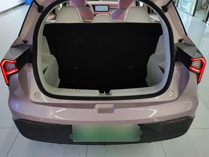2024 Geely Geometry E Firefly