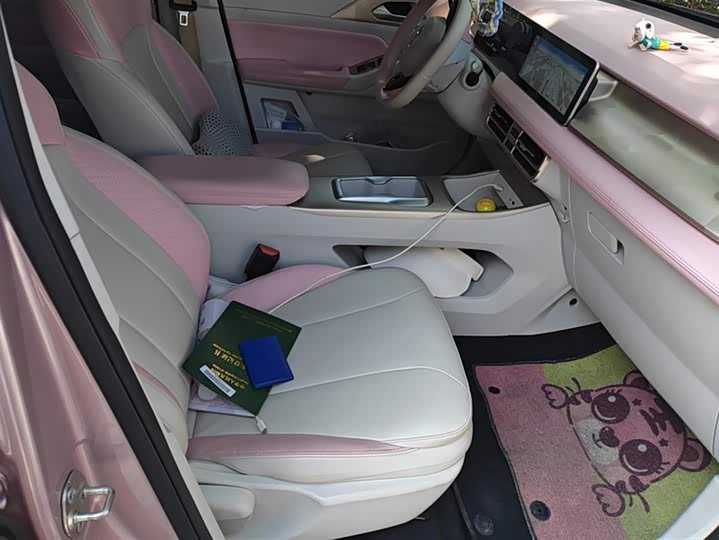 Geely Geometry E Firefly 2024 2024款 301km 星光
