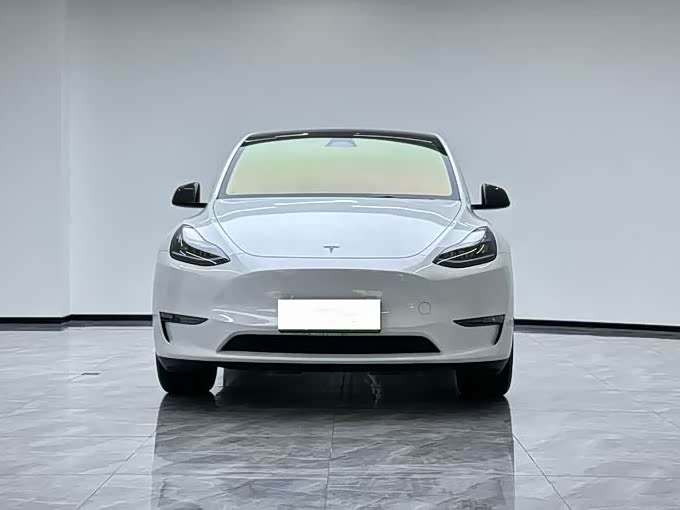 Tesla Model Y 2024 2024款 长续航全轮驱动版