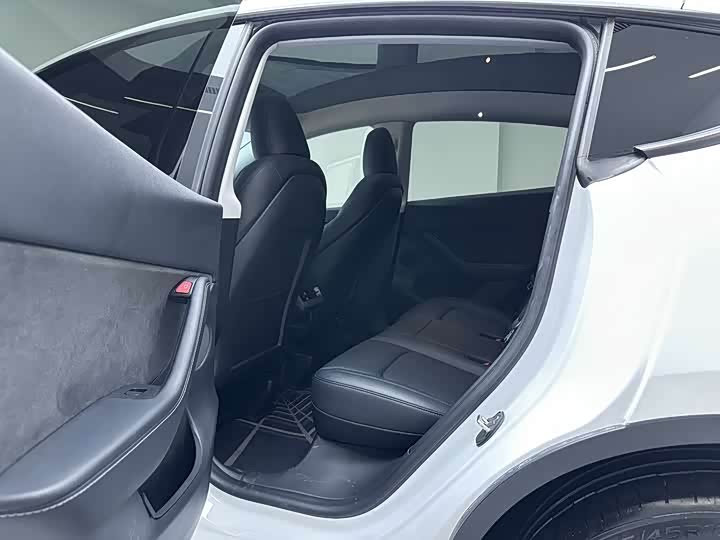 Tesla Model Y 2024 2024款 长续航全轮驱动版