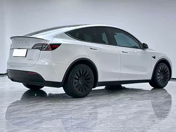 Tesla Model Y 2024 2024款 长续航全轮驱动版