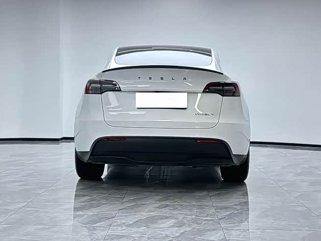 Tesla Model Y 2024 2024款 长续航全轮驱动版