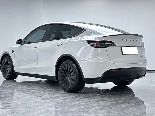 Tesla Model Y 2024 2024款 长续航全轮驱动版