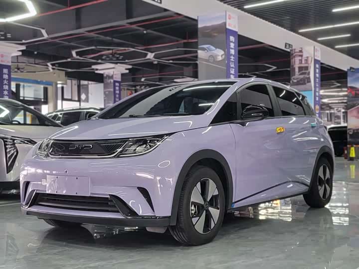 Фото 1 - BYD Dolphin