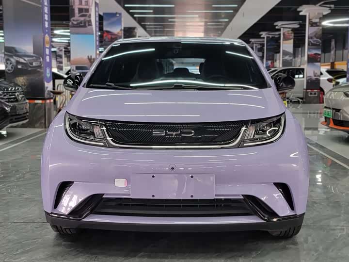 Фото 2 - BYD Dolphin