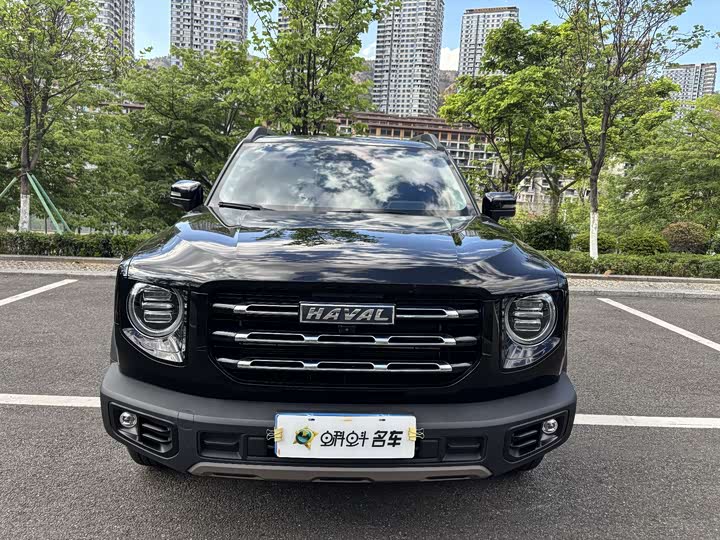 Фото 2 - Haval Dargo
