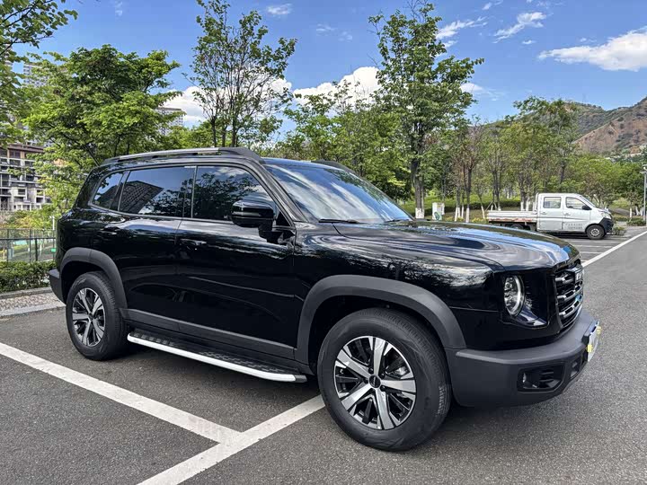 Фото 3 - Haval Dargo