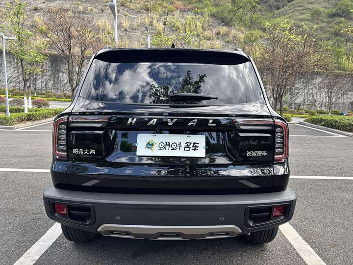 Фото 5 - Haval Dargo