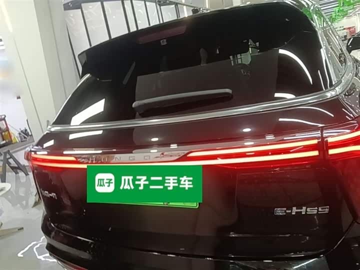Hongqi E-HS9 2022 2022款 660km 旗畅版 六座