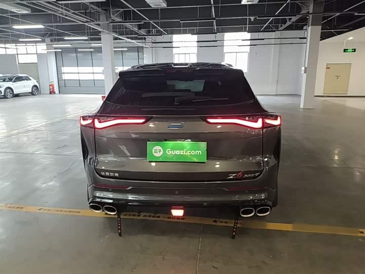 Фото 6 - Changan Oshan Z6
