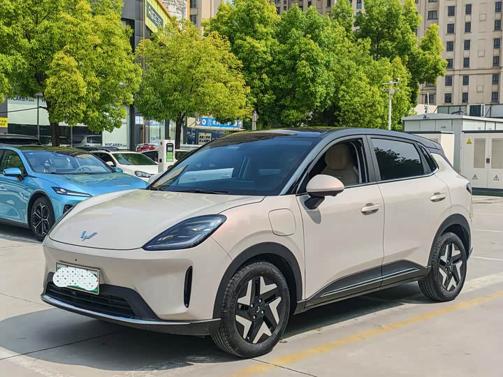 Wuling Bingo S 2025 2025款 325km 旗舰款