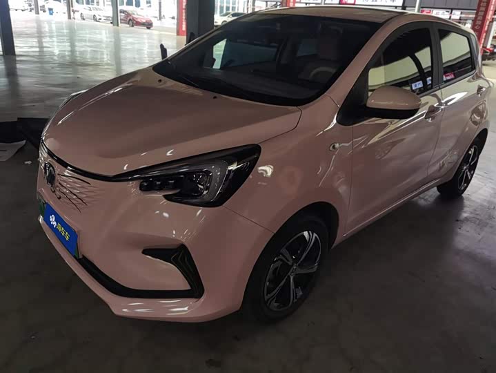 2022 Changan BenBen E-Star