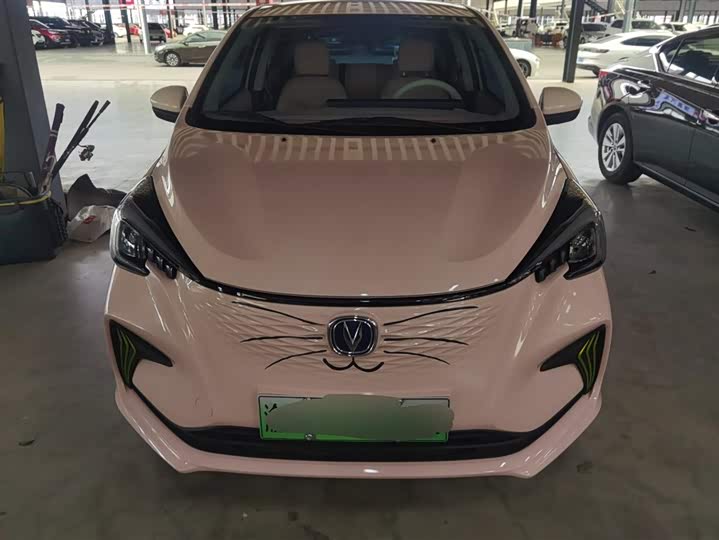 2022 Changan BenBen E-Star