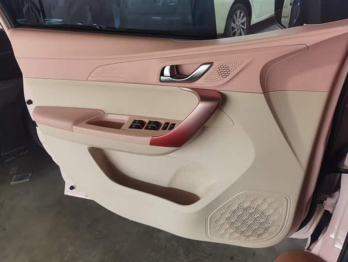 Changan BenBen E-Star 2022 2022款 清心版 多彩款 三元锂