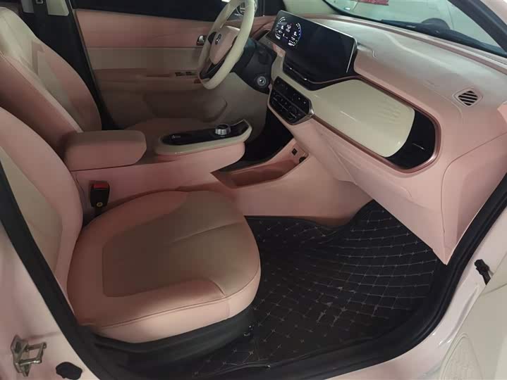 Changan BenBen E-Star 2022 2022款 清心版 多彩款 三元锂