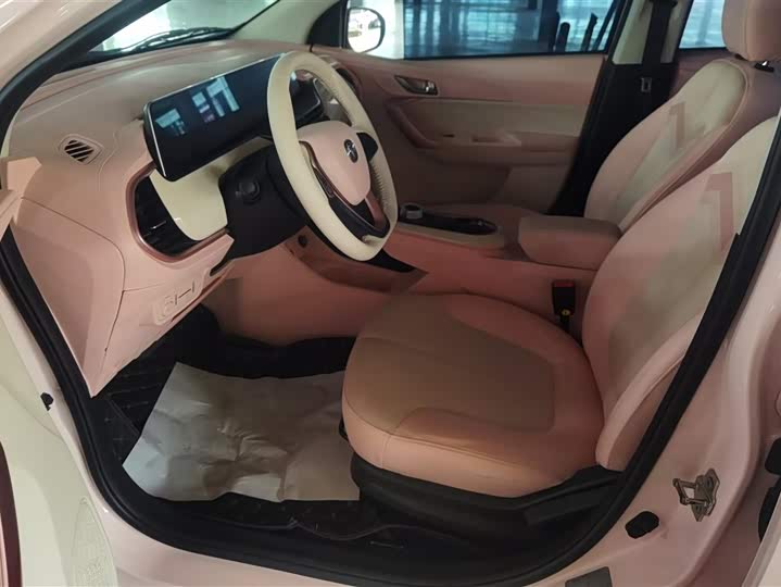 Changan BenBen E-Star 2022 2022款 清心版 多彩款 三元锂