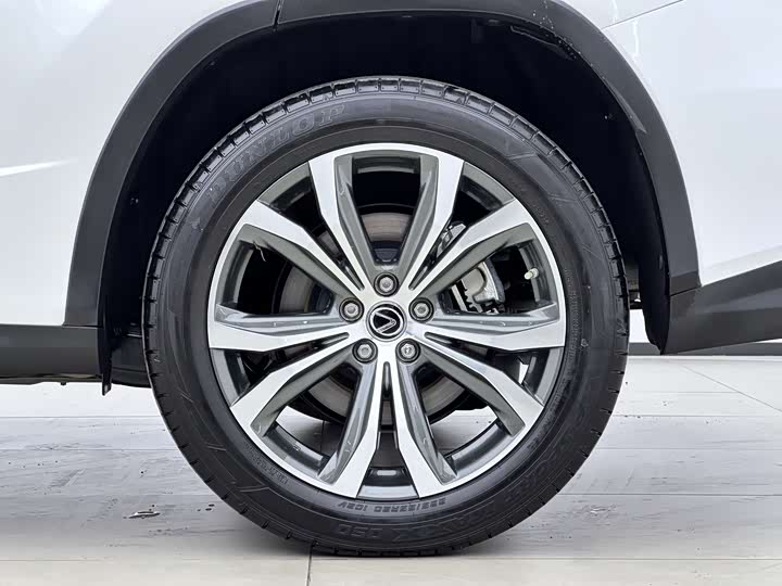 Фото 8 - Lexus RX