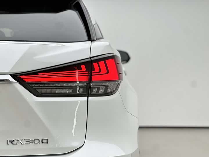 Фото 9 - Lexus RX