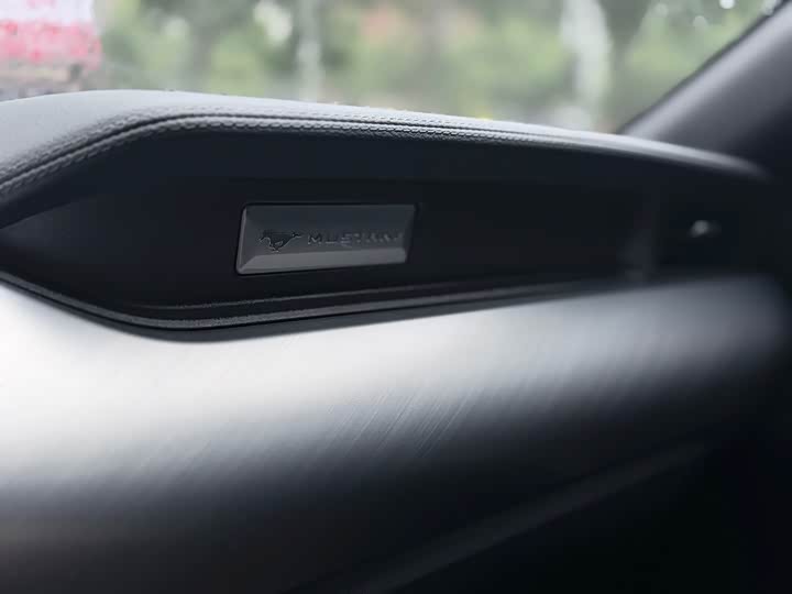 Фото 9 - Ford Mustang