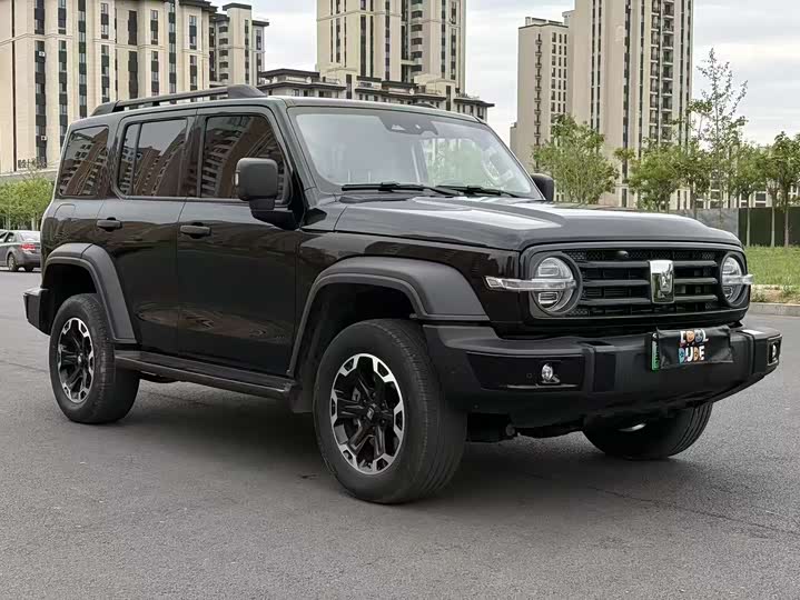Tank 300 Hybrid 2025 2025款 Hi4-T 36.7kWh