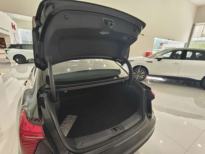 Фото 4 - Hongqi H5 Hybrid