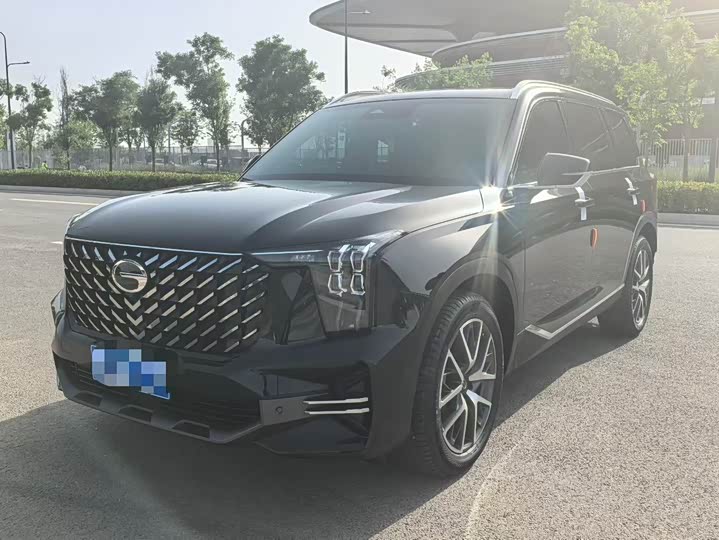 GAC Trumpchi GS8 2024 2024款 领航系列 2.0TGDI 两驱豪华智联版 7座