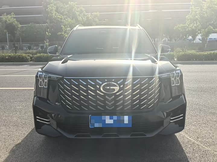 GAC Trumpchi GS8 2024 2024款 领航系列 2.0TGDI 两驱豪华智联版 7座
