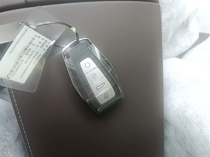 Geely Monjaro 2026 2026款 东方曜 2.0TD 自动望月版