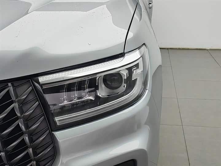 Great Wall Pao 2023 2023款 2.0T商用版自动柴油两驱精英型长箱GW4D20M