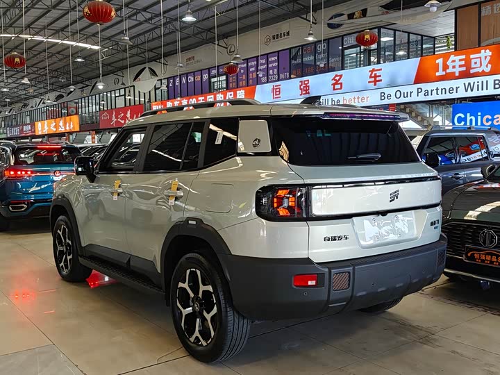 Jetour Shanhai T1 2024 2024款 150km 向海