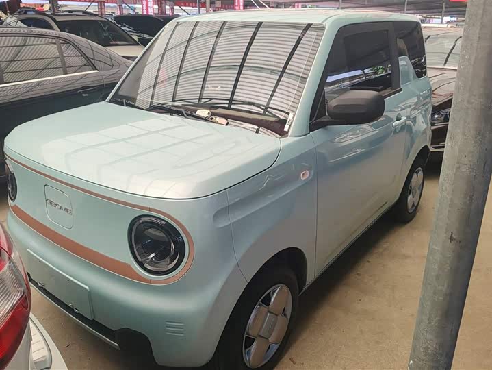 Geely Galaxy Panda Mini 2023 2023款 熊猫mini 200km 耐力熊