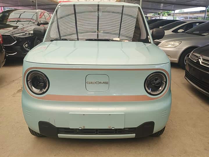 Geely Galaxy Panda Mini 2023 2023款 熊猫mini 200km 耐力熊