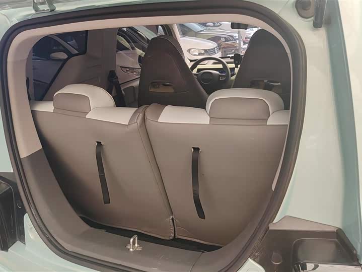 Geely Galaxy Panda Mini 2023 2023款 熊猫mini 200km 耐力熊